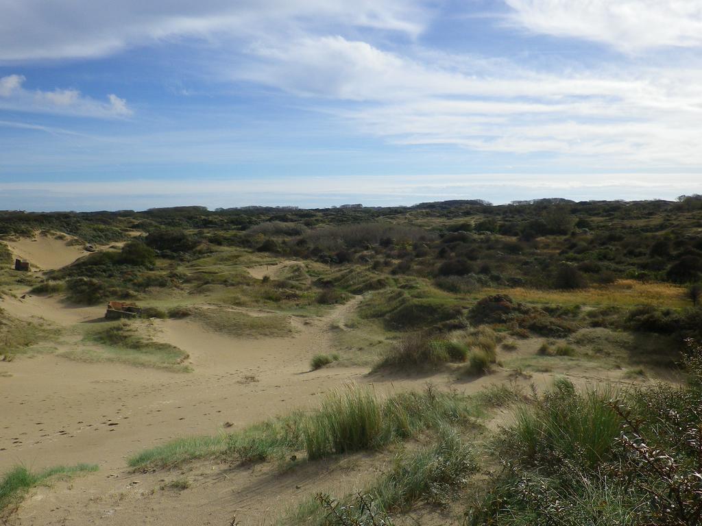 Evancy Etoile Des Dunes Bray-Dunes Exteriér fotografie